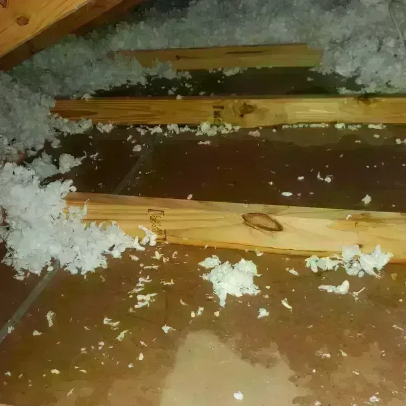 Attic Water Damage in Topeka, KS