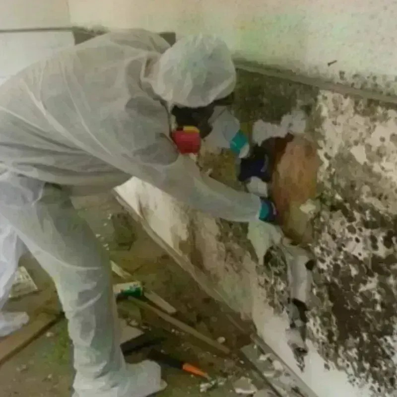 Mold Remediation and Removal in Topeka, KS