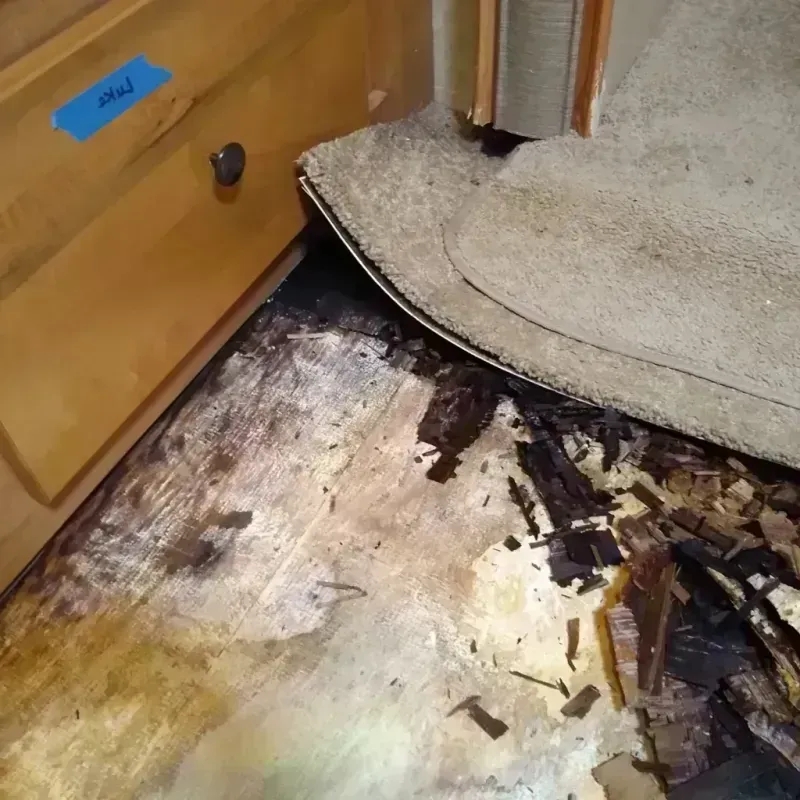 Wood Floor Water Damage in Topeka, KS